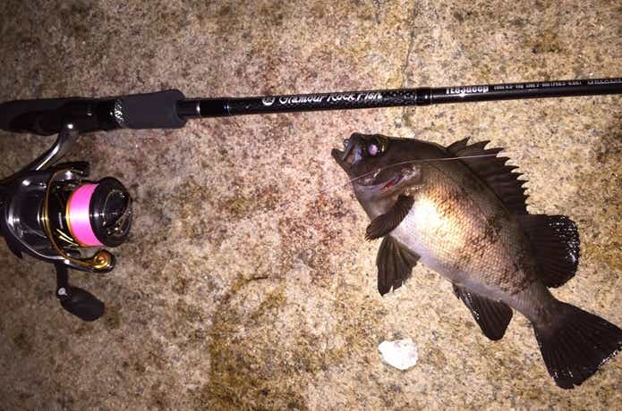 折れてもまた買いたい！元釣具屋が愛した「グラマーロックフィッシュ