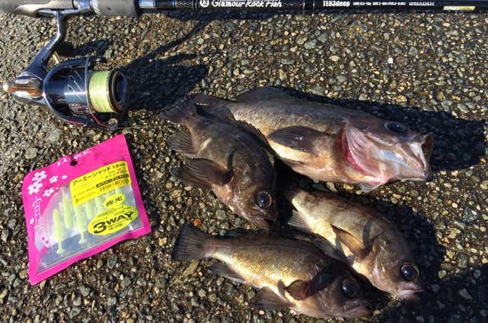 折れてもまた買いたい！元釣具屋が愛した「グラマーロックフィッシュ