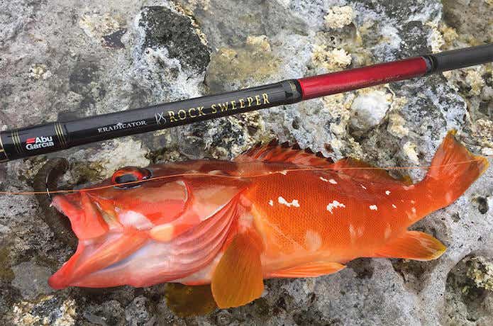 アブの最新モデル「エラディケーター ロックスイーパー」！ 最新技術