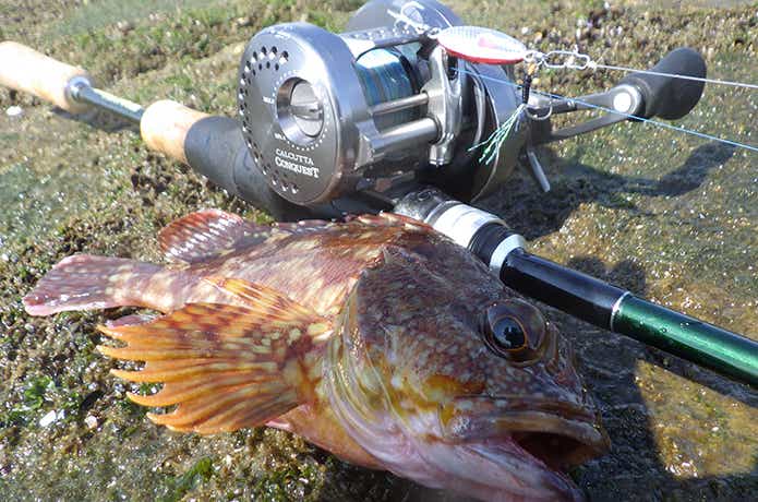 バス/トラウト/ソルトのおすすめベイトフィネスロッド】元釣具屋が厳選