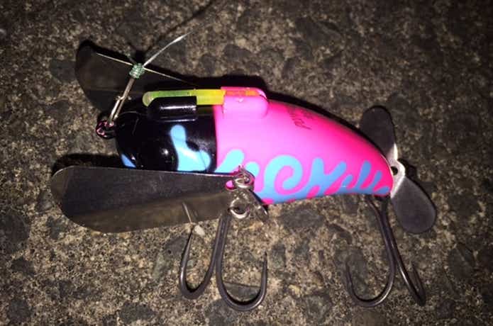 ノイジーおすすめ15選｜魚をノイズ（騒音）で威嚇する強気なルアー達