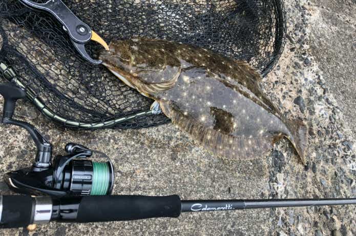 軽さは正義だ！】20カラマレッティーを編集部がインプレ！このエギング