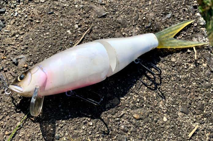 ライザージャック【DRT×Fisharrow】大注目コラボ。リップ有無で変わる