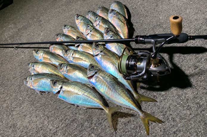 ラグゼ「宵姫シリーズ」全モデル解説！がまかつ渾身のライトゲーム