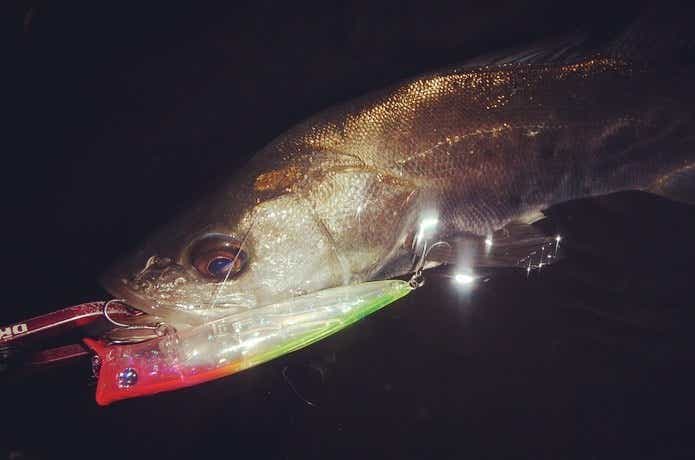 ブルーブルーのシーバスルアー総まとめ！村岡昌憲氏渾身のアイテムから