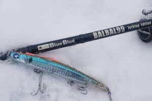 137580880_5757814297578116_885