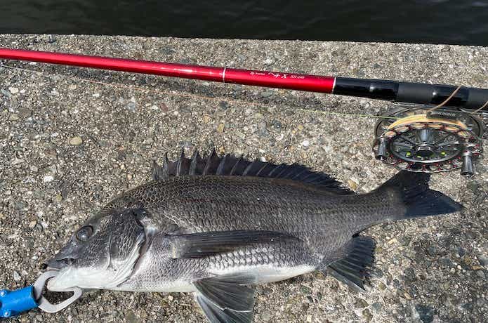 BJスナイパーヘチXを実釣インプレ！評判通りコスパ◎のヘチ竿でした