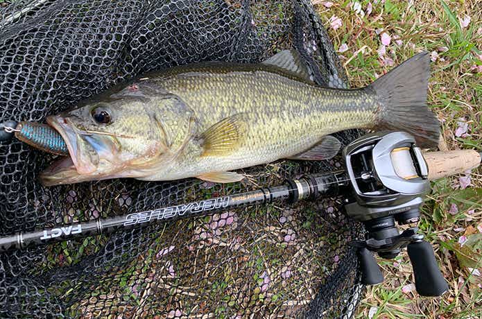 21 ジリオンSV TWを徹底インプレ｜もはや文句なし！のハイエンドを