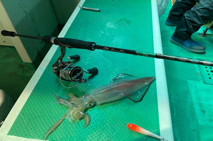 良心価格のオモリグロッド！エメラルダスX イカメタル 70MLS-Sを