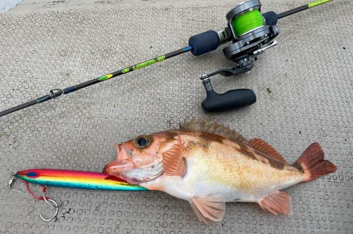 中深海ジギング】メタルジグ選びの基礎知識&定番アイテムを元釣具屋が