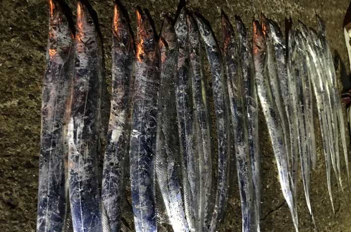 ヤマガブランクスの魚種無制限ロッド。ブルーカレント【85 / TZ NANO