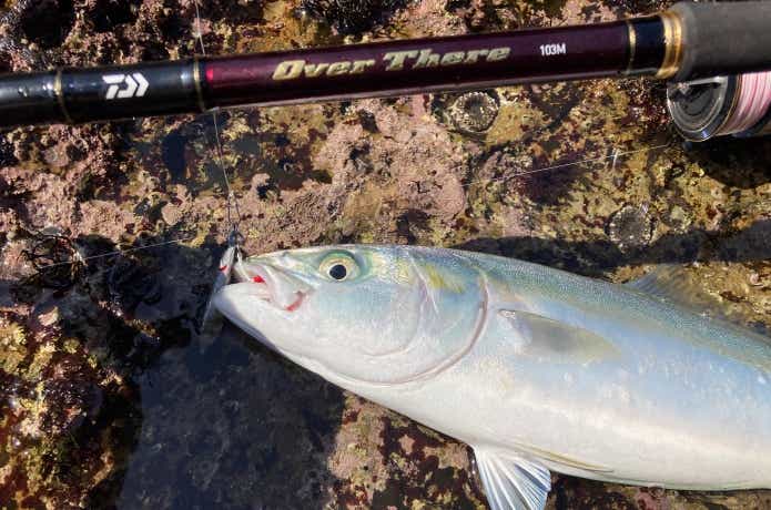 ダイワ】オーバーゼアシリーズを全網羅｜2022年最新モデルまで