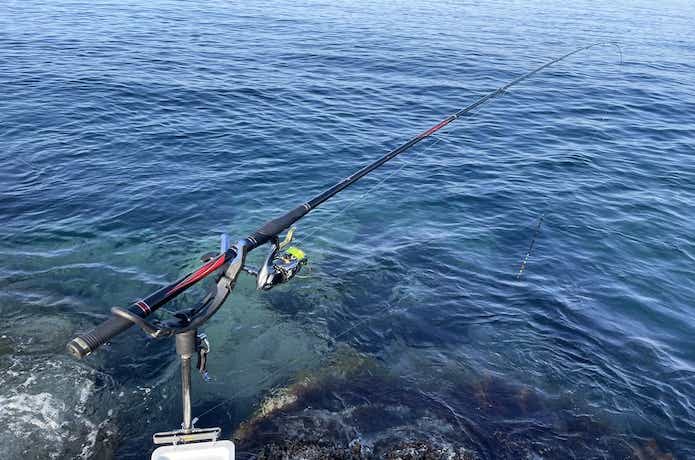 がま磯スーパープレシード0.2号をインプレ。使ってわかった“0.2”に込め