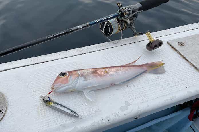 超軽量】エメラルダスEX イカメタルをインプレ！あまりの軽さに感動