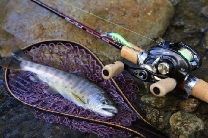 渓流トラウト用ベイトパックロッドおすすめ8選！ 超コンパクトモデルを