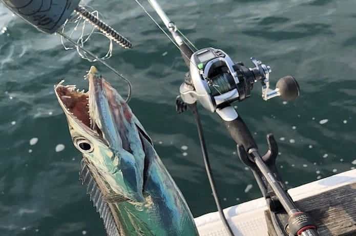 おすすめの電動リール27機種！超軽量〜マグロ対応モデルまで網羅