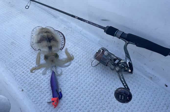 エメラルダスMX ボートをインプレ！クラス最高レベルの感度でした