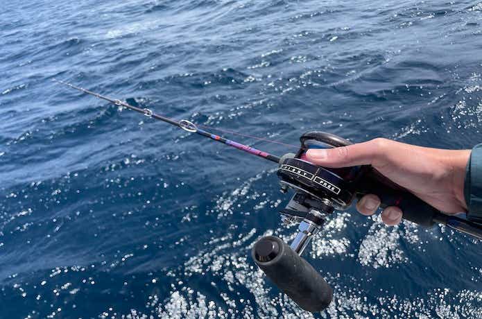 ディープライナーのマニアフェローズをインプレ。棒のように硬い理由と