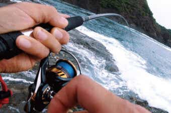 シーバスハンターXをインプレ。コスパ最強の万能ロッドでした