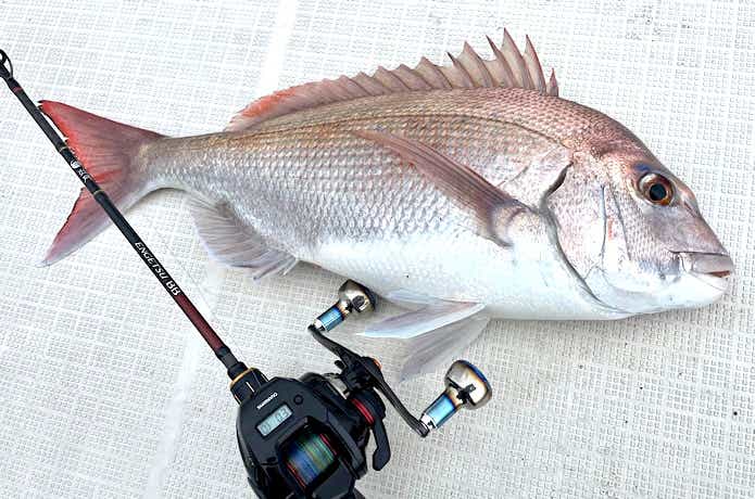 エンゲツ BBをインプレ！これで1万円台って、シマノさん正気ですか