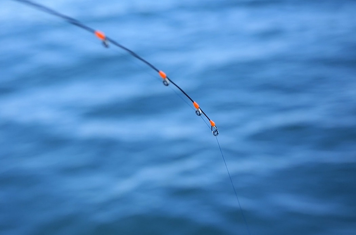 今作も売り切れ続出か！？さらなる高感度を目指した“XX”が登場