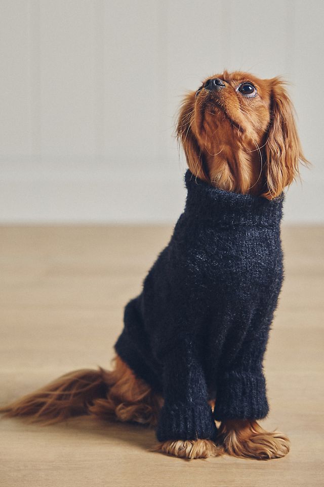 FURB Bobbi Eyelash Knit Pet Sweater | AnthroHome