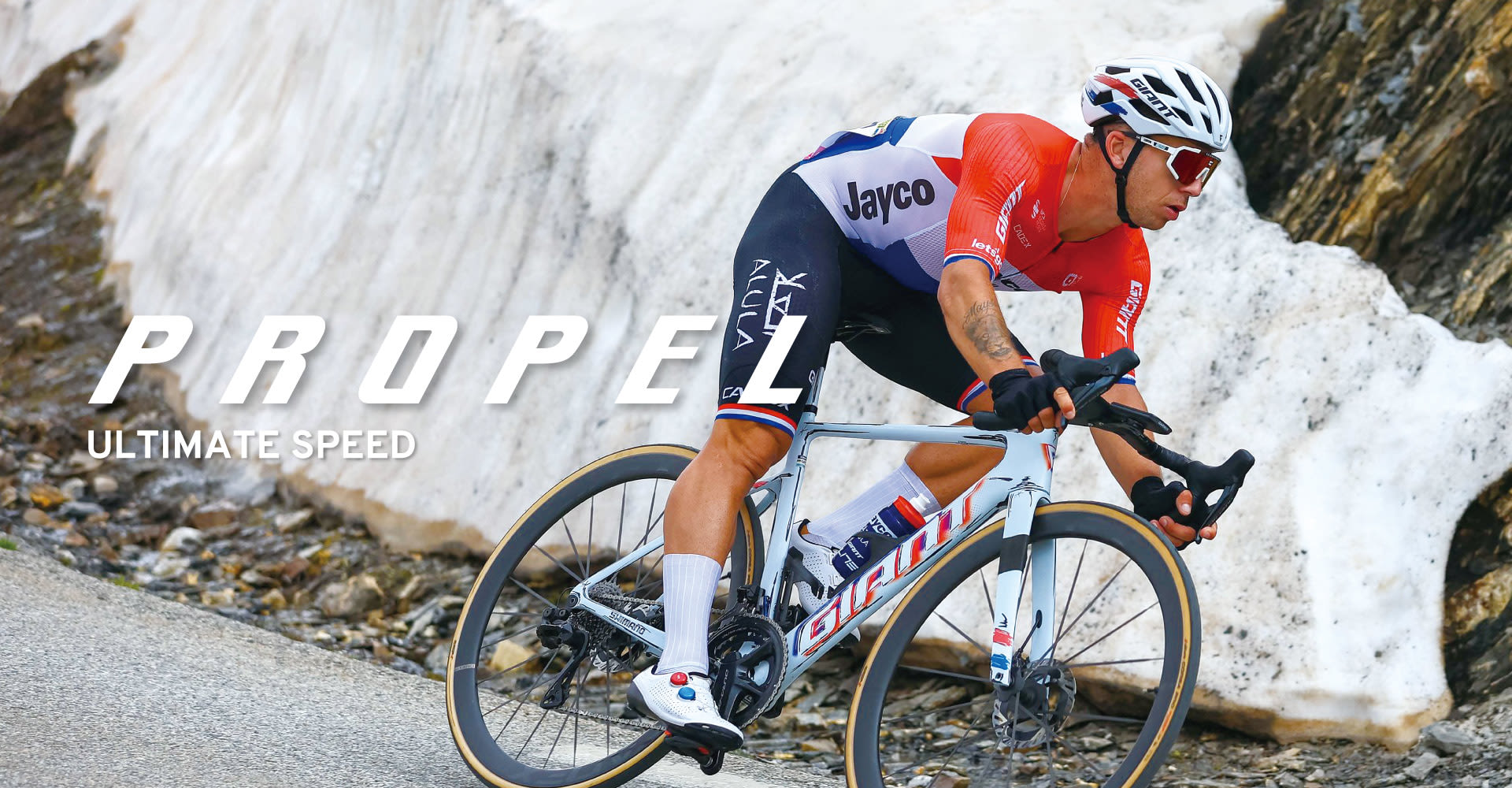 Giant Bicycles Japan 日本