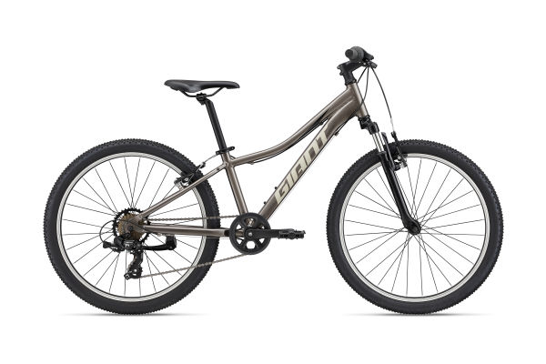 Giant Bicycles Japan 日本