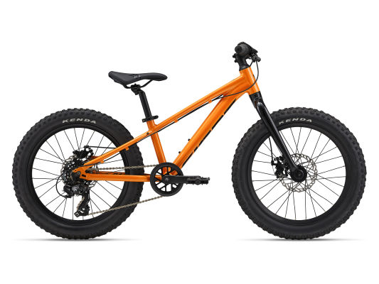 STP 20 (2024) | Trail bike | Giant Bicycles US