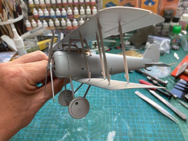 1/32 Aviattic Pfalz DVIII - LSP Discussion - Large Scale Planes