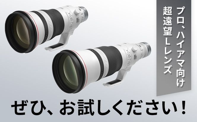 キヤノン RF600mm F4L IS USM 〈Lレンズ〉〈蛍石搭載〉《180日以内に