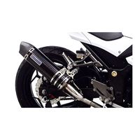 受注生産】Ninja250用 スリップオンマフラー ユーロタイプ