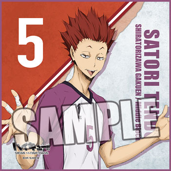 ハイキュー！！ 烏野高校 VS 白鳥沢学園高校 マイクロファイバーミニ