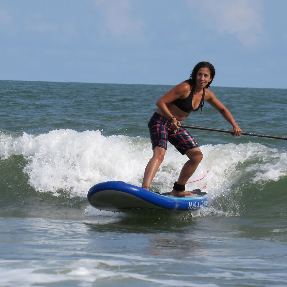 ハラ ギア - 取り扱いブランド - 株式会社エイアンドエフ | 世界の