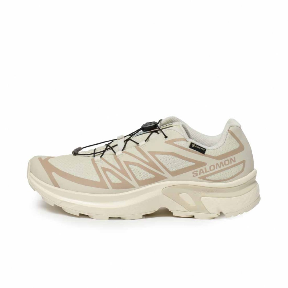 2025秋冬 サロモン エックスティー GTX イーブイアール L47803400