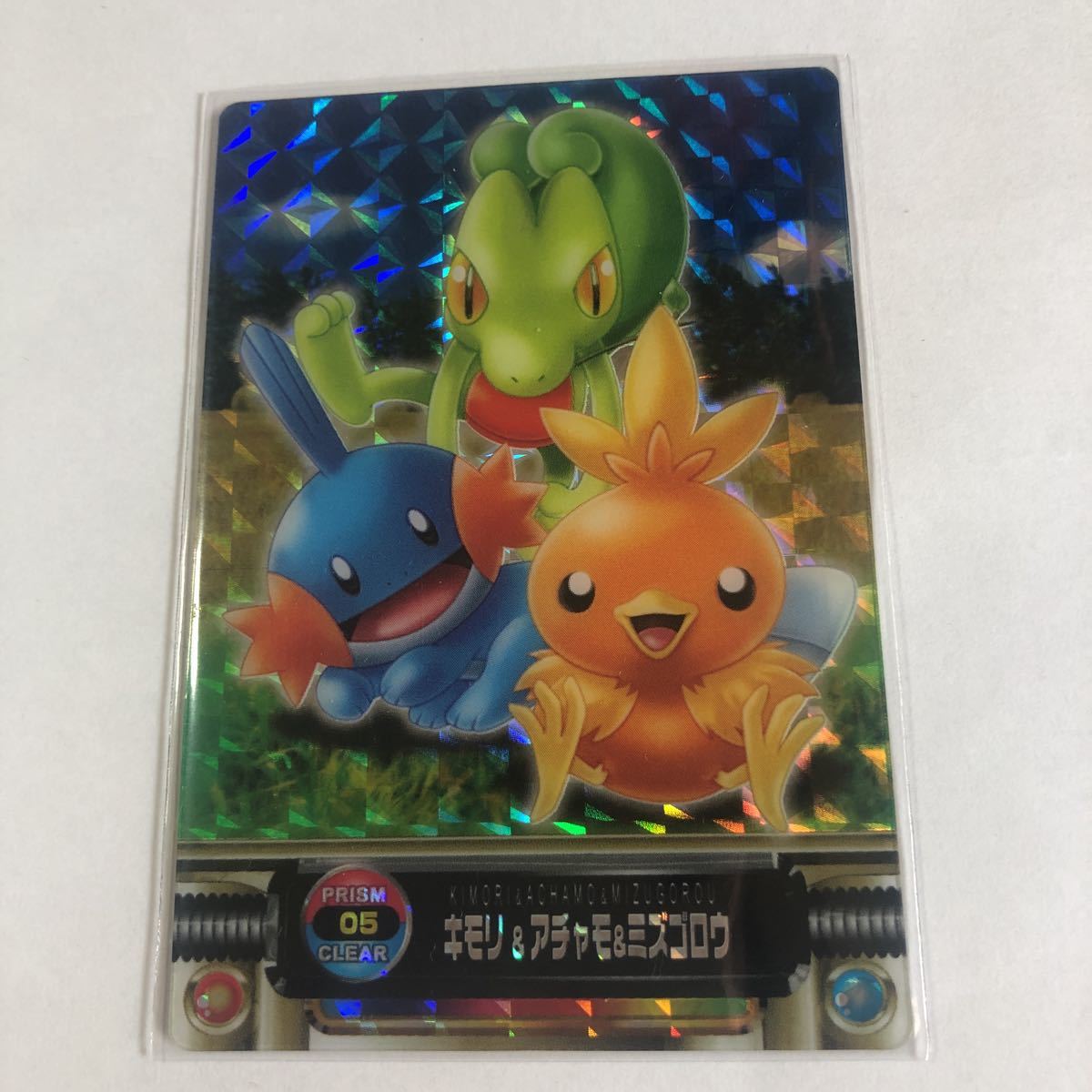 ポケモンカードダス ずかんカード キモリ＆アチャモ＆ミズゴロウ