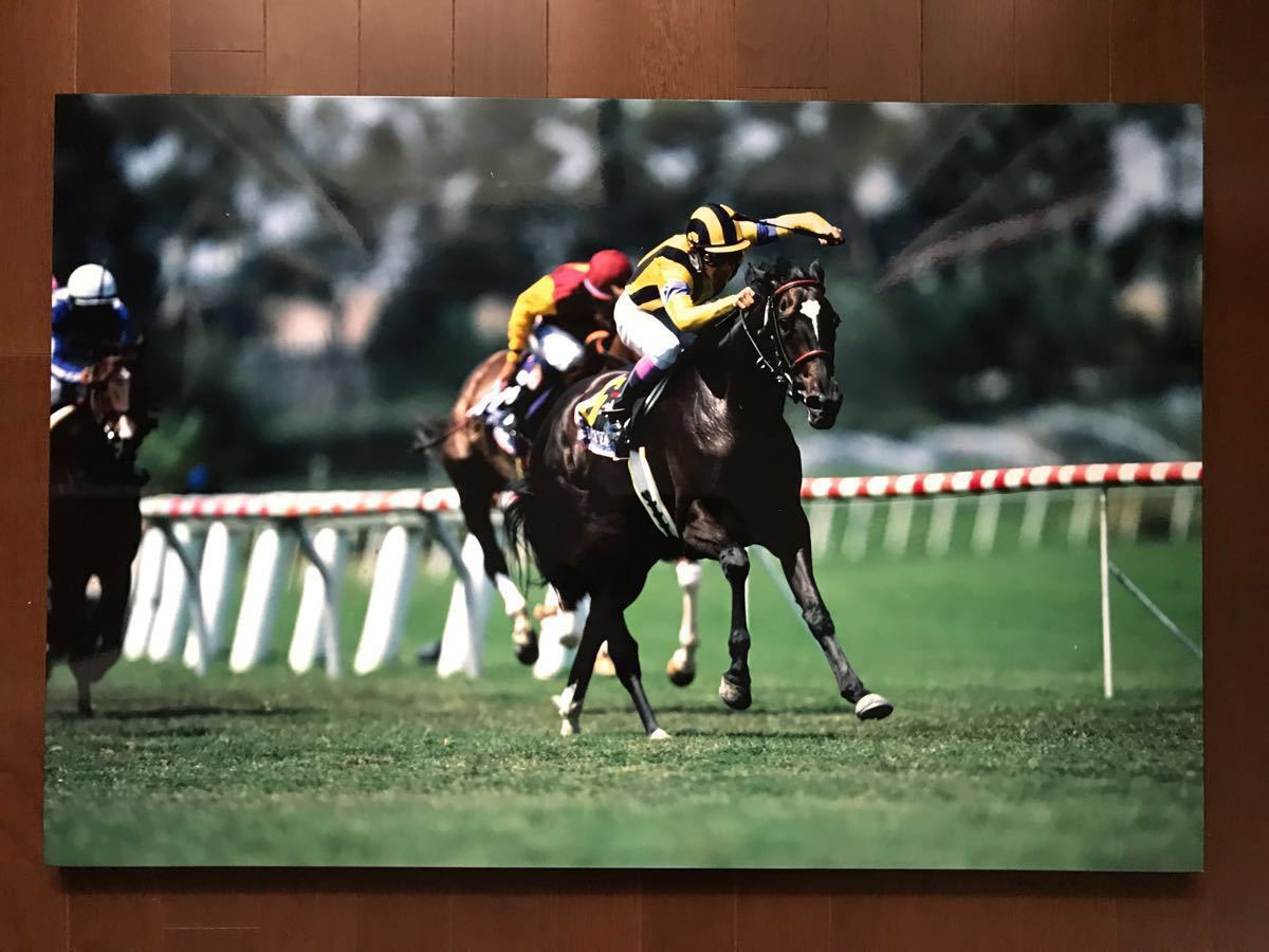 競馬パネル 特大サイズ 武豊展 直筆サイン入り 展示品パネル 証明書付