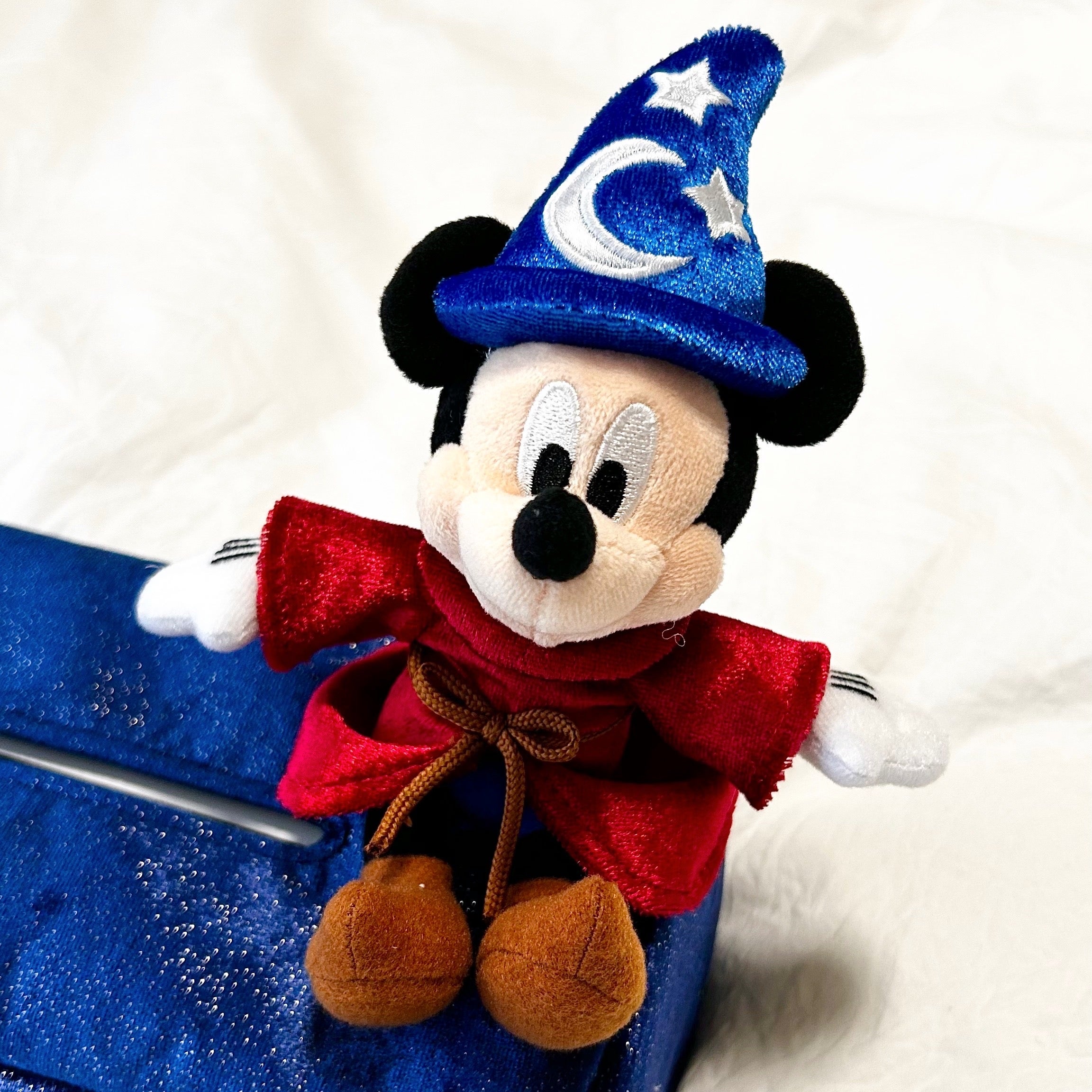 映画のワンシーンじゃん…！ディズニーランドで見つけた「激かわ