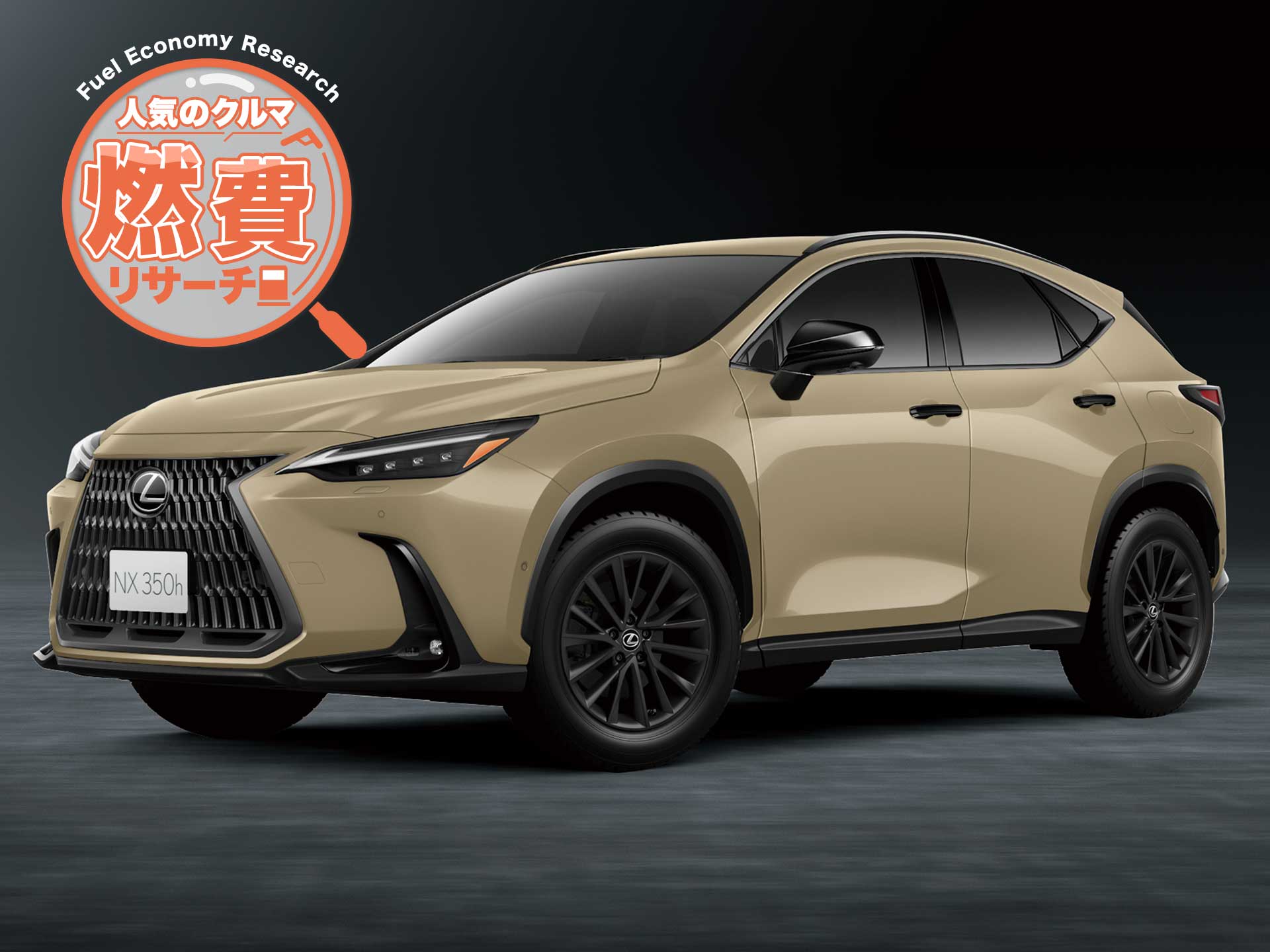 NX（レクサス）NX300 特別仕様車 スパイス＆シック（2020年7月