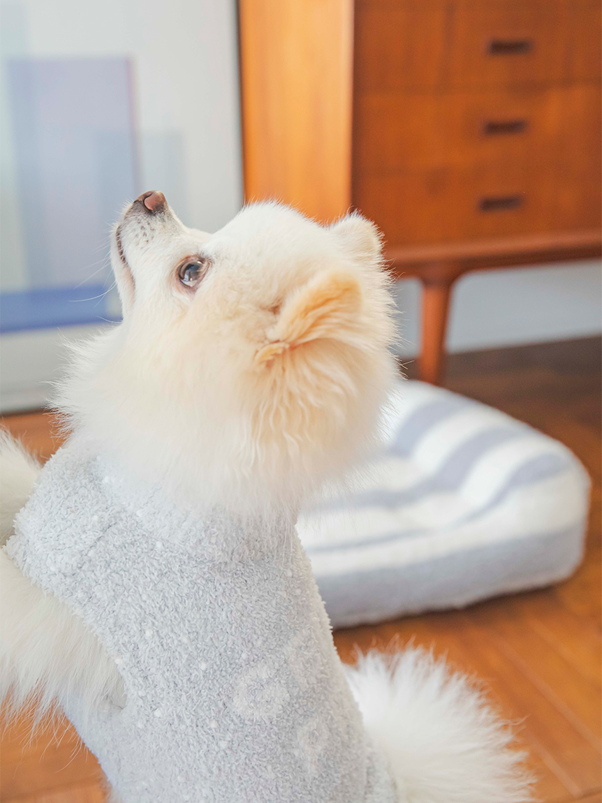 CAT&DOG】【販路限定商品】ベビモコネップdogプルオーバー(ウェア