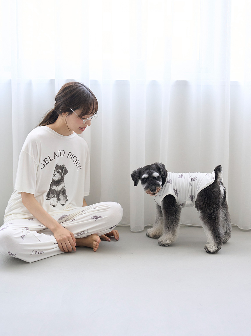 オフィシャルサイト・MASH STORE限定】【CAT&DOG】シュナウザー柄