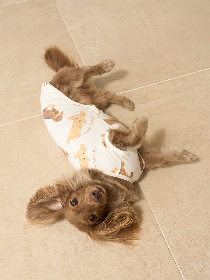 CAT&DOG】ダックスフンド柄カットソープルオーバー(ウェア)｜ルーム