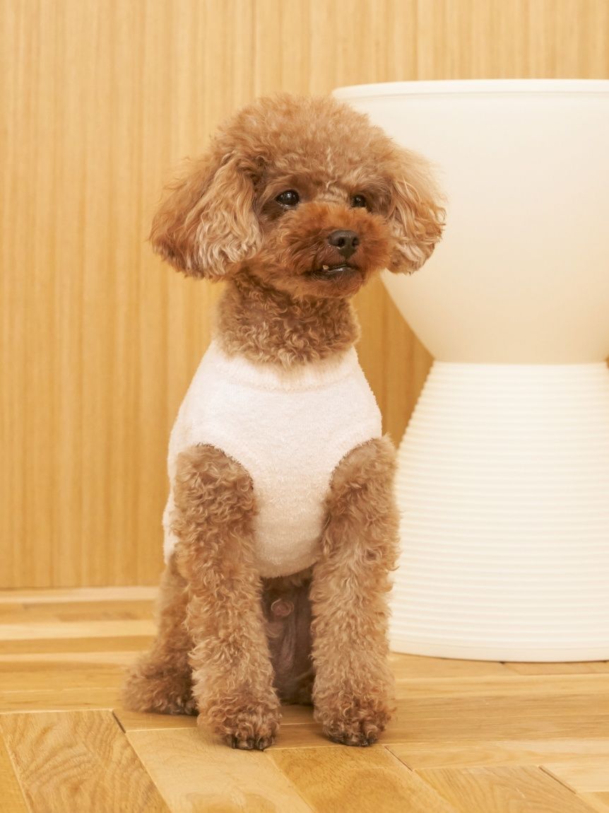 CAT&DOG】スムーズィートイプードル柄ジャガードプルオーバー(ウェア