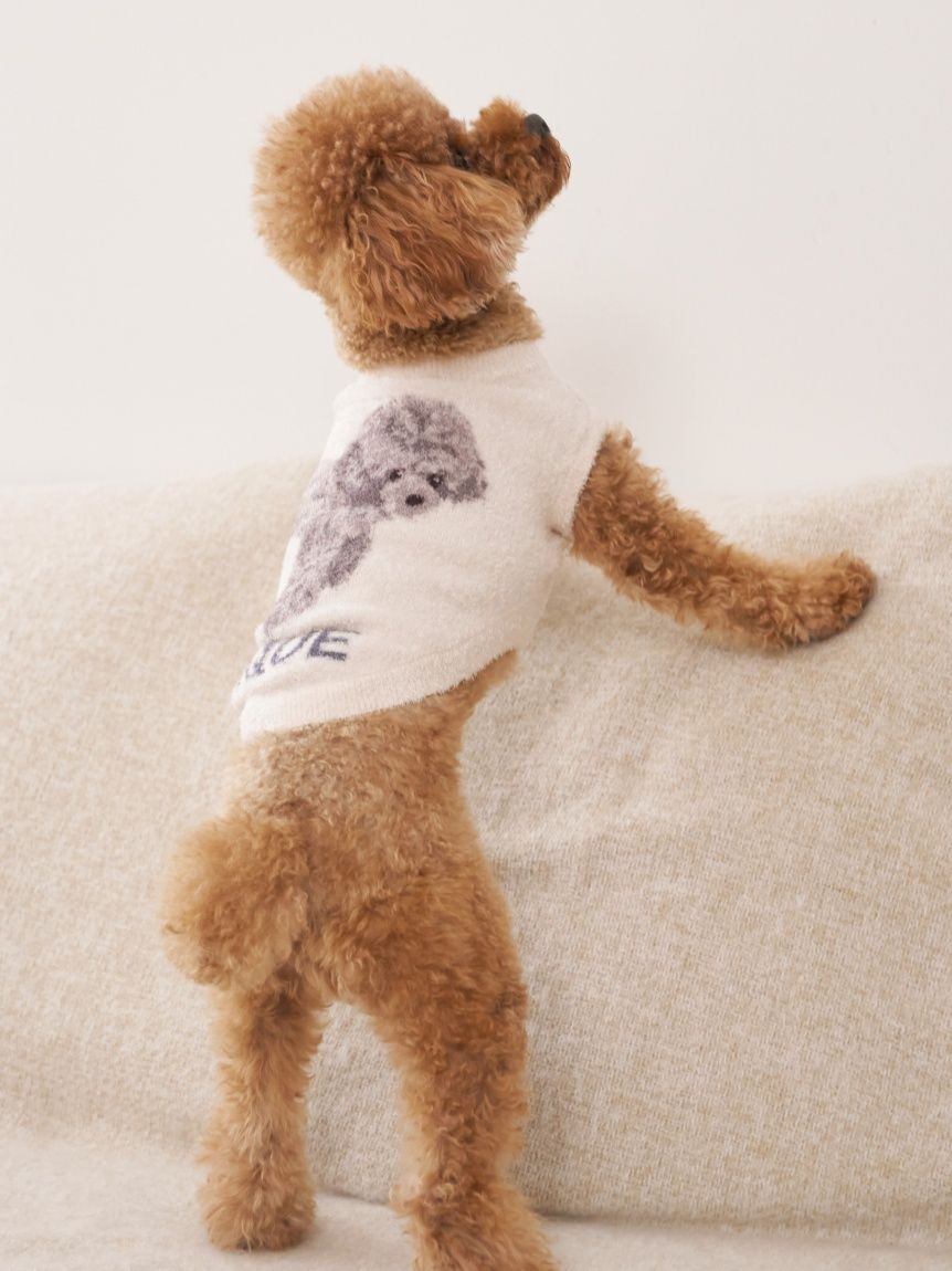 CAT&DOG】スムーズィートイプードル柄ジャガードプルオーバー(ウェア