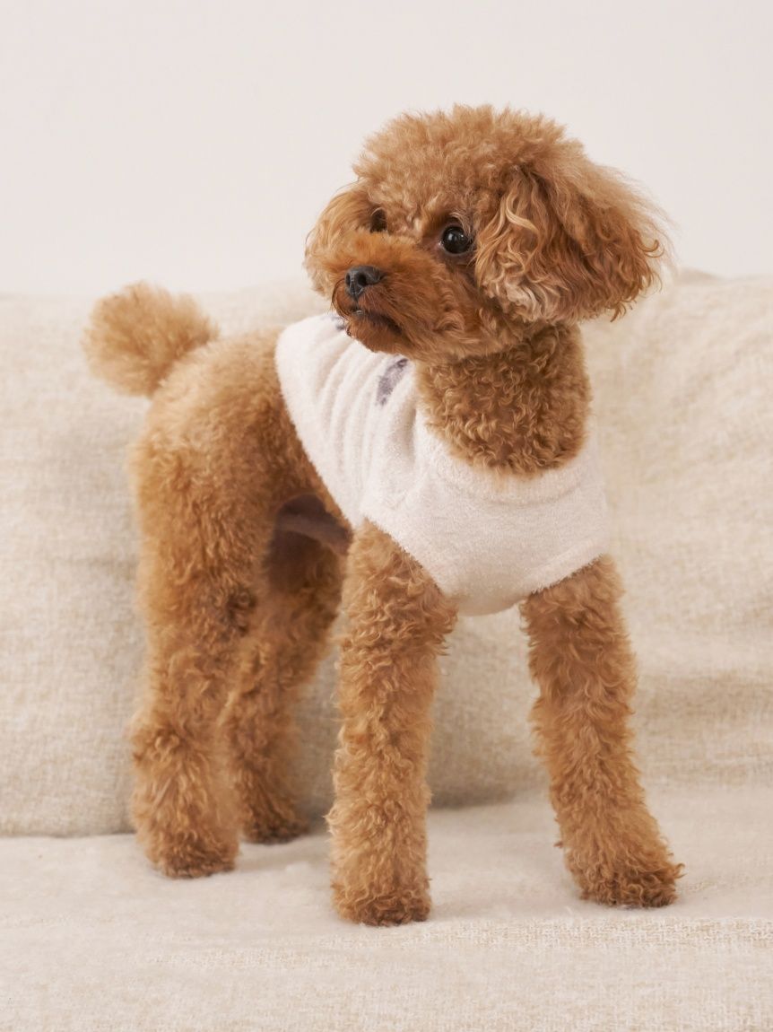 CAT&DOG】スムーズィートイプードル柄ジャガードプルオーバー(ウェア