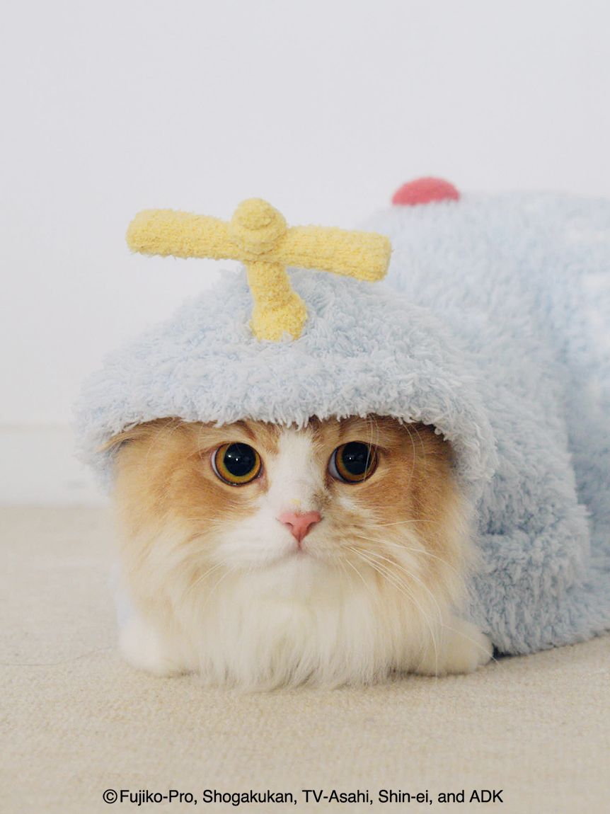 ドラえもん】【CAT&DOG】ジェラートケープ(ウェア)｜ルームウェア