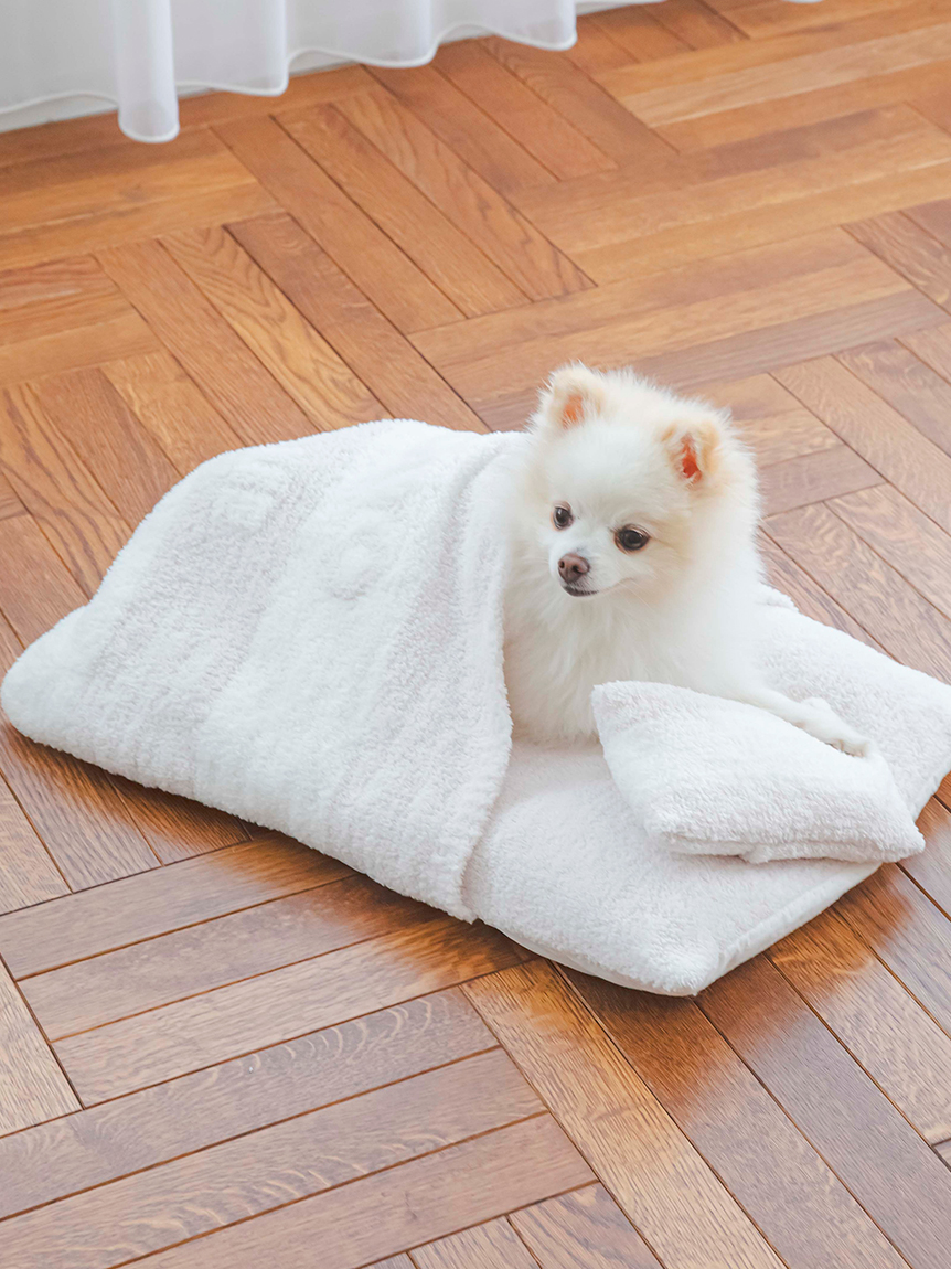 すべてのカテゴリ【ジェラート ピケ キャット＆ドッグ】定番アイテム