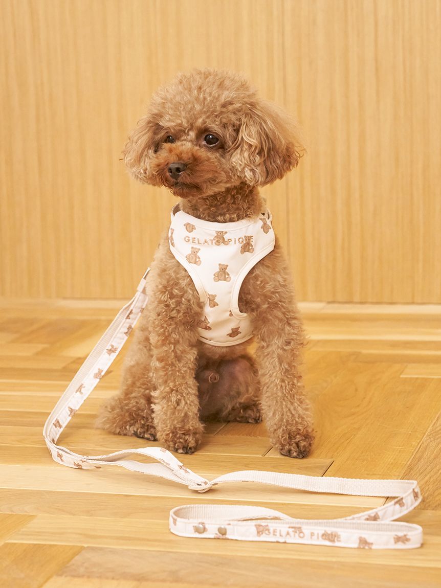 CAT&DOG】【販路限定商品】モチーフ柄リード(ハーネス・リード