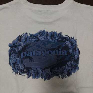 Patagonia beneficial t s - Gem