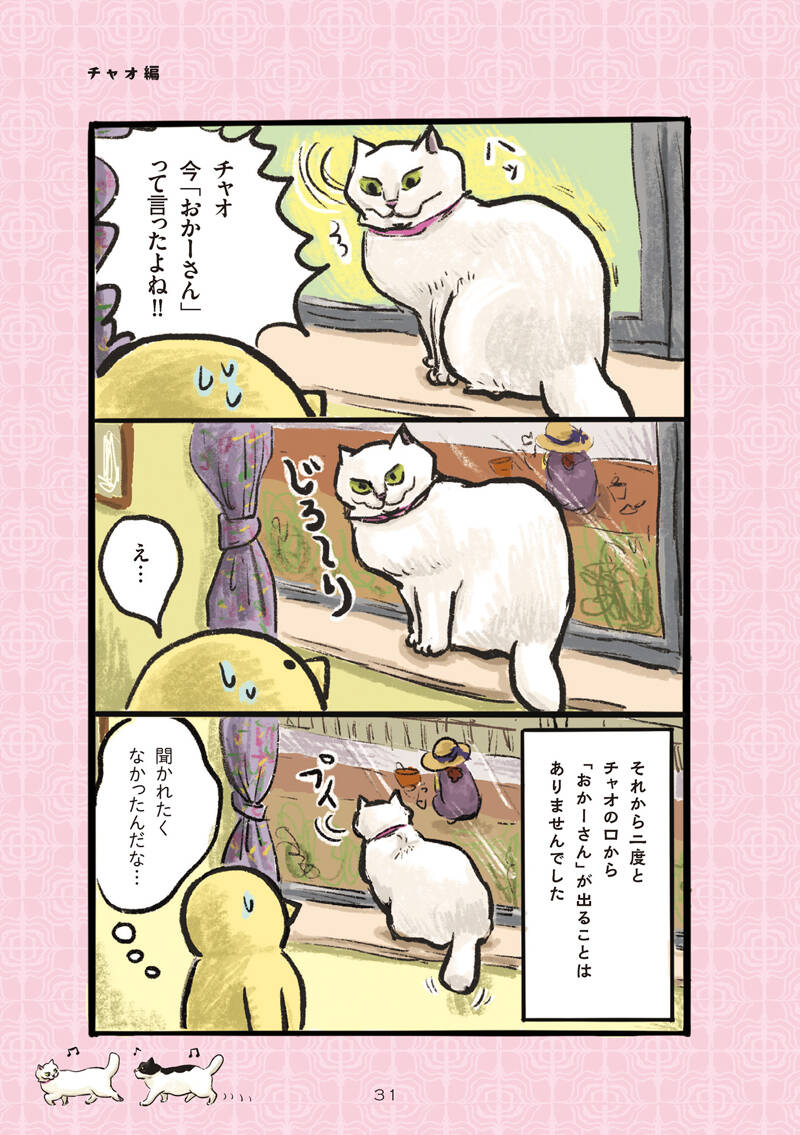 喋る猫｜白猫、黒猫、しましま猫｜カマノレイコ - 幻冬舎plus
